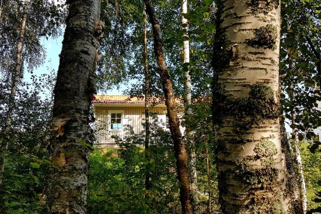 Nybyggd Stuga Intill Skogsbrynet - New Built Cottage Next To The Cowberry Forest Mora Luaran gambar