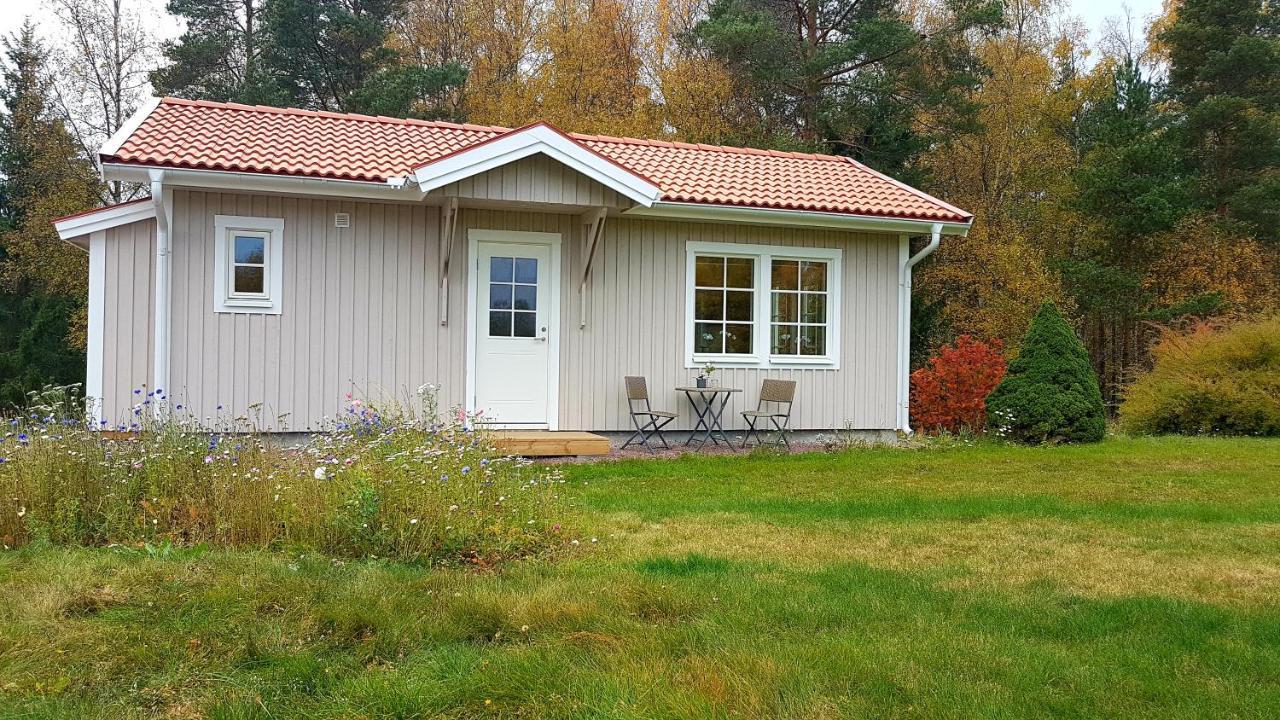 Nybyggd Stuga Intill Skogsbrynet - New Built Cottage Next To The Cowberry Forest Mora Luaran gambar